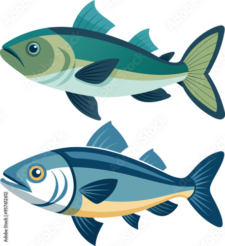 illustration of a cod fish on white 