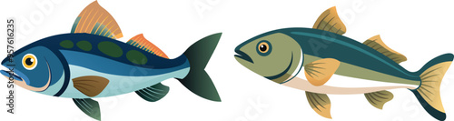 illustration of a cod fish on white 