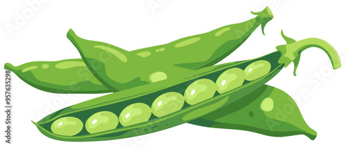 Whole green beans colorful illustration