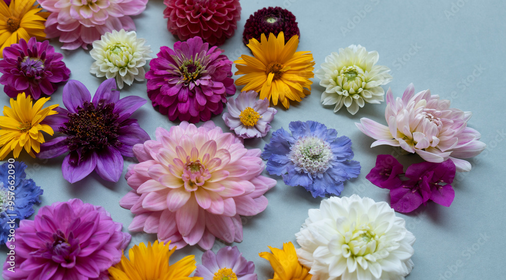 Close up on dahlias and zinnias
Close up on dahlias and zinnias