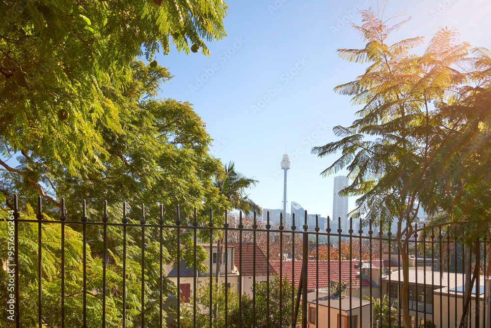 © Rowena Naylor/Stocksy - Sydney Skyline Through Trees © Rowena Naylor/Stocksy - Sydney Skyline Through Trees