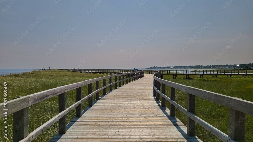 Wooden boardwalk over coastal dunes Wooden boardwalk over coastal dunes