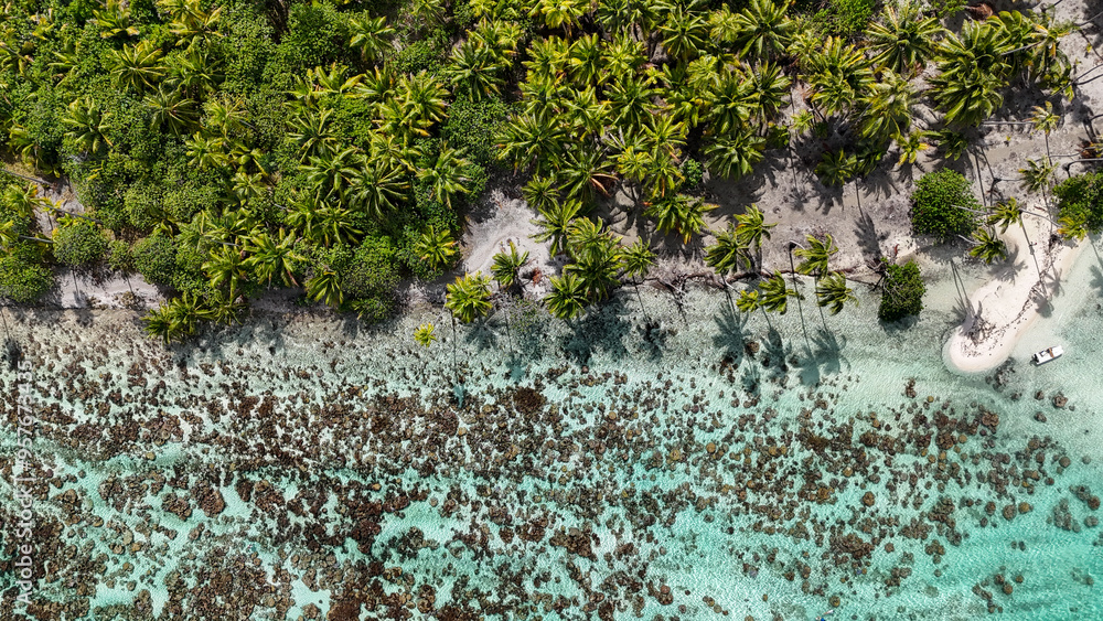 Vibrant coral reef in clear azure ocean water surrounded by tropical palm trees on the island of Taha'a in French Polynesia. Aerial drone view. Vibrant coral reef in clear azure ocean water surrounded by tropical palm trees on the island of Taha'a in French Polynesia. Aerial drone view.