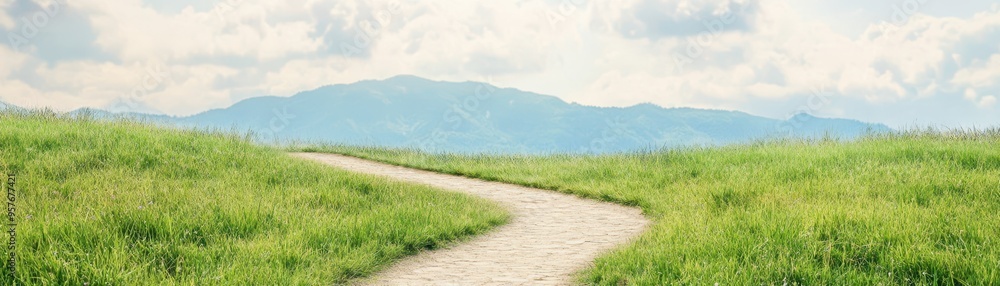 A winding path through lush green grass under a serene sky, inviting exploration and a sense of tranquility in nature.