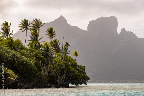 Tropical palm trees on the island of Bora Bora. Popular tourist attraction Mount Otemanu can be seen in the background. 