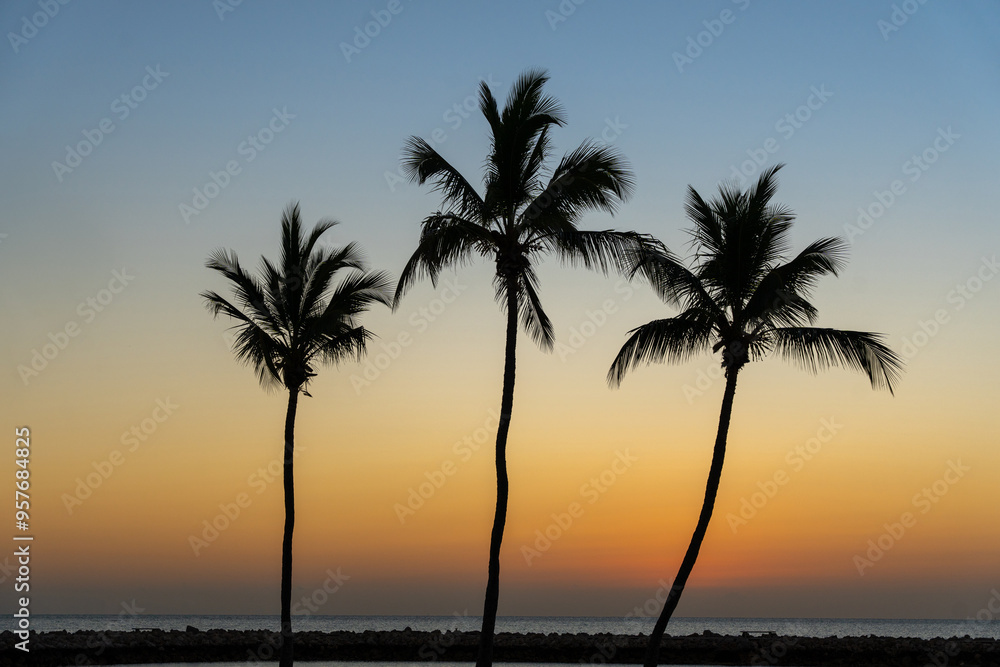 Three trees closeup Three trees closeup