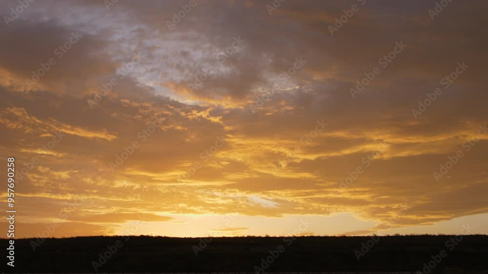 流れる夕日に染まった雲
流れる夕日に染まった雲