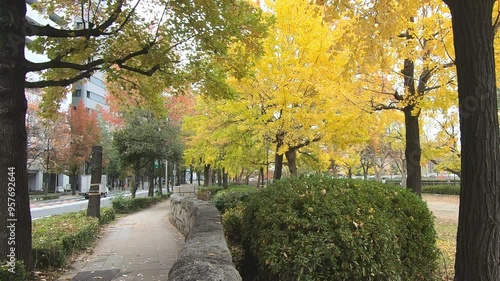 都会の歩道脇の紅葉
