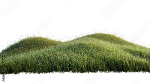 pasture hill on transparent white background photo