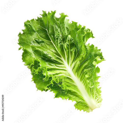 Fresh lettuce leave isolated on a transparent background. Generative AI photo