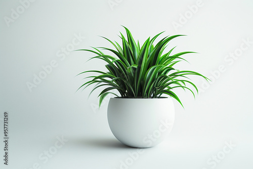 stock photo features a clean, minimalist white background, providing a versatile and neutral backdrop for a variety of potential uses, from product photography to graphic design and presentations  photo