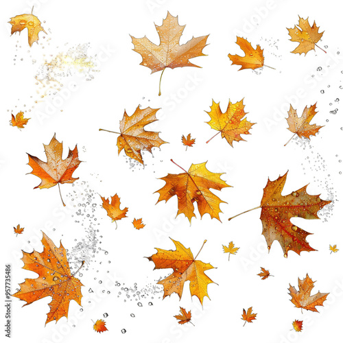 autumn leaves seamless pattern on transparent background png