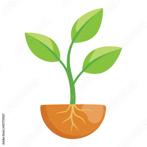Illustration of Seed sprout with the root