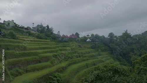 SUNRISE IN RICE TERRACES ( BATAD IFUGAO) photo