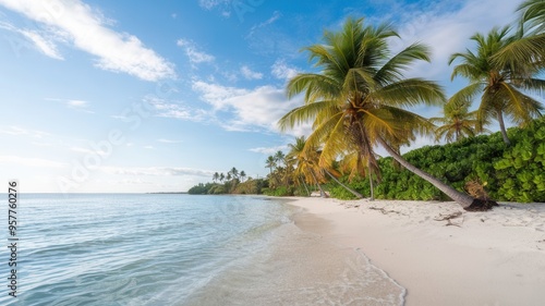 A palm tree is on a beach with a clear blue sky photo