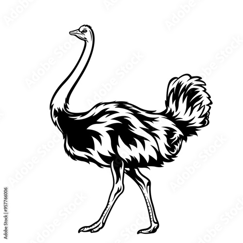 Ostrich | Large Bird | Farm Animal | Fastest Birds | Flightless Bird | Livestock | Long Neck | Wildlife | Original Illustration | Vector and Clipart | Cutfile and Stencil