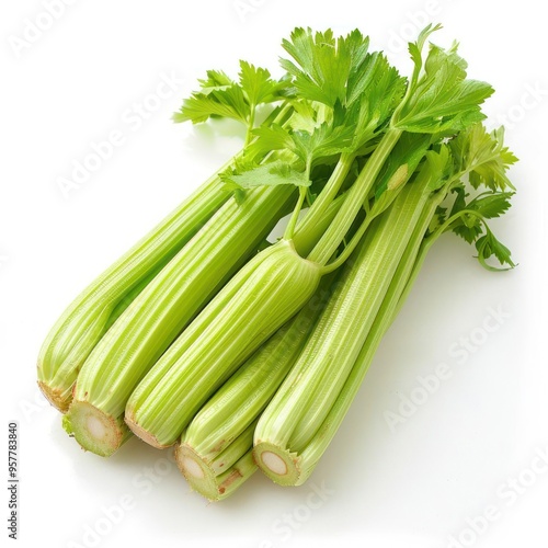 A bunch of fresh dill weeds, whole and green with some leaves attached.