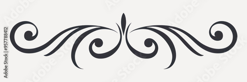 Elegant black decorative flourish design