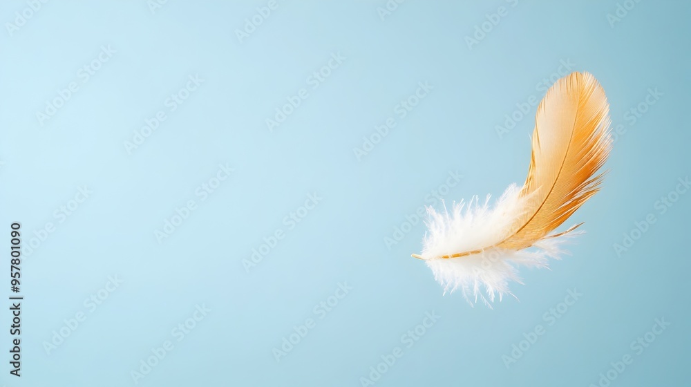 Delicate Feather Floating in the Air Symbolizing Lightness and Tranquility with Ample Copy Space Delicate Feather Floating in the Air Symbolizing Lightness and Tranquility with Ample Copy Space