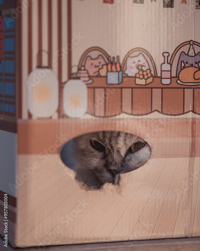 Cat peeking out from a small opening in the box