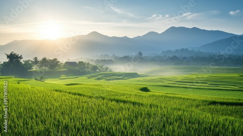 A stunning view of vibrant green rice paddies with mountains in the distance, under the warm, early morning sun in Nan province, Thailand, creating a peaceful scene