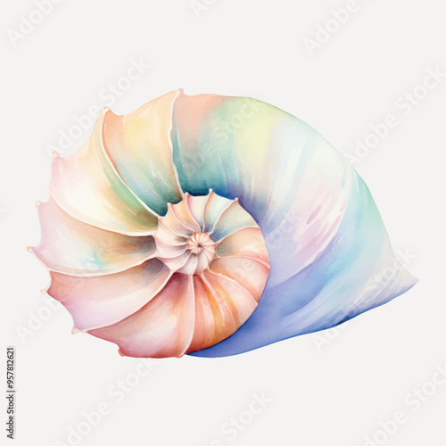 Colorful watercolor seashell art