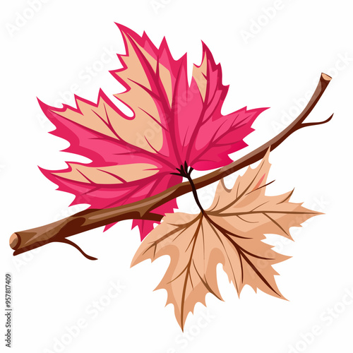 Colorful autumn leaves and branch arrangement on white background