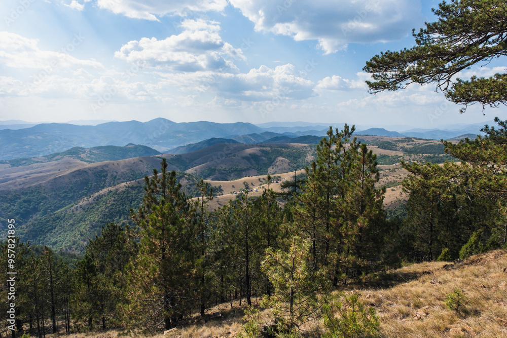 Fototapeta premium Landscape with pine trees, meadows, clouds in mountains during summer