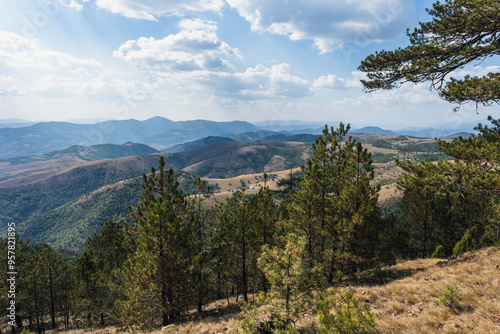 Landscape with pine trees, meadows, clouds in mountains during summer