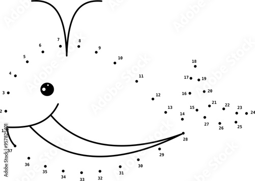 Whale dot to dot