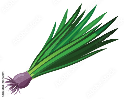 Chives vector illustration on white background