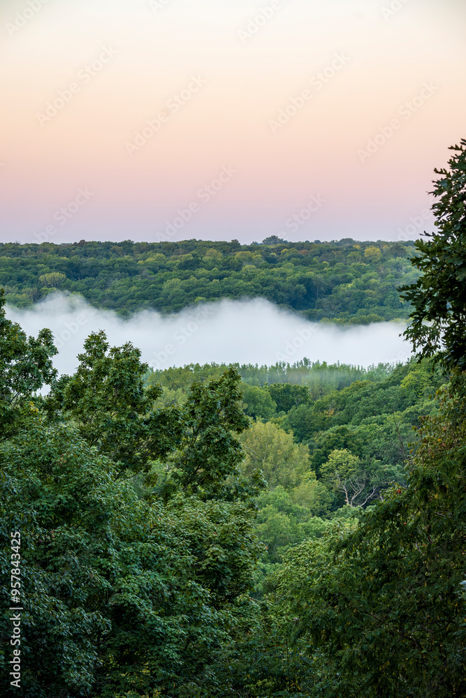 Forest with Valley Filled with Fog at Sunrise Forest with Valley Filled with Fog at Sunrise