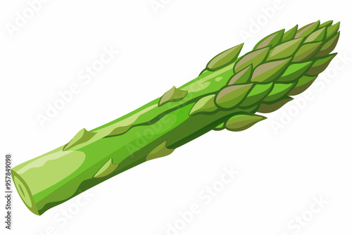 Asparagus Ingredients for Healthy Cooking