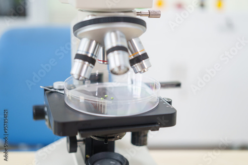 A laboratory table filled with scientific equipment, samples, and liquids. No people are present. The scene represents modern scientific research in chemistry, physics, biology, and microbiology.