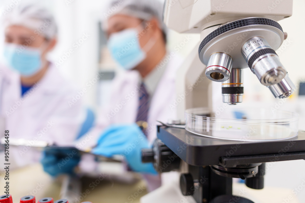 Two Asian scientists in lab coats sit at a table in a laboratory, examining samples through a microscope. The room is equipped with scientific tools, liquids, and chemistry materials. Two Asian scientists in lab coats sit at a table in a laboratory, examining samples through a microscope. The room is equipped with scientific tools, liquids, and chemistry materials.