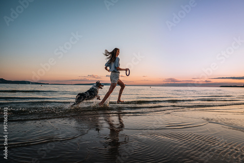 girl plays with an Australian shepherd dog on the beach in the water. throws a puller toy, the dog jumps and runs