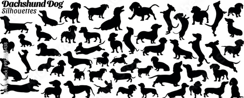 Set of 53 items dachshund dogs silhouette vector illustration