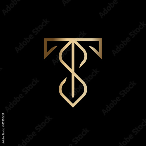 Minimalist Luxury Initials TS Logo Vector Illustration