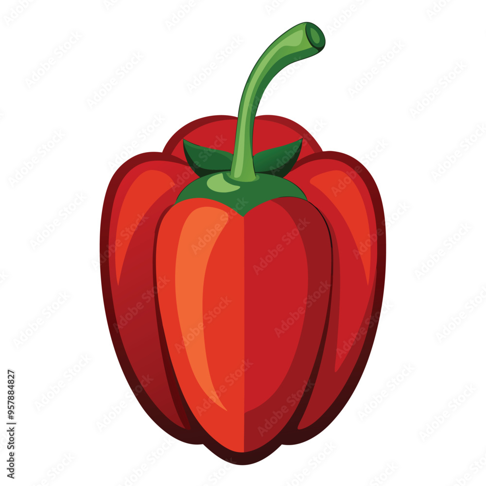 Red pepper vector