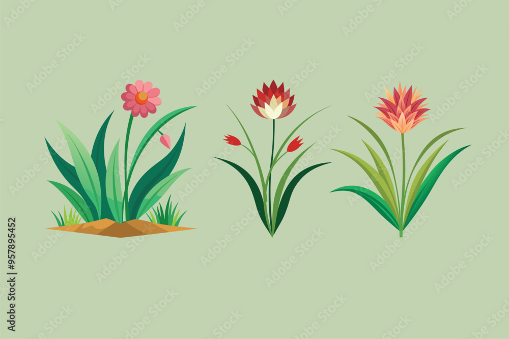 Naklejka premium Best grass flower Illustrations vector 2.eps