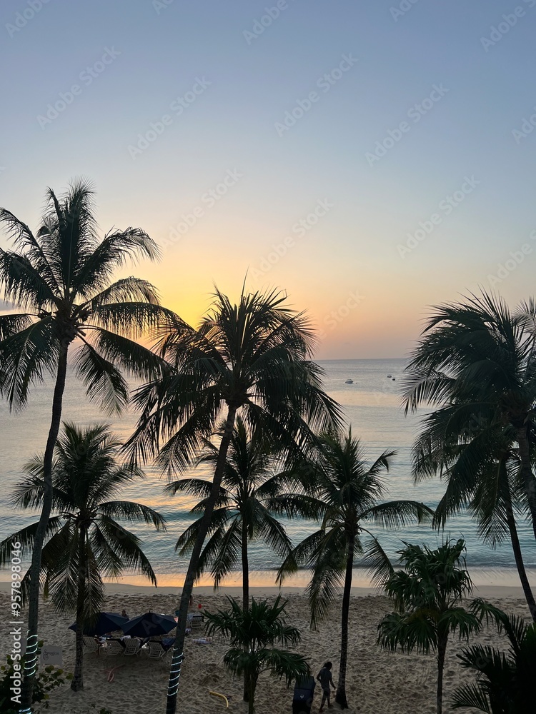Obraz premium palm trees at sunset