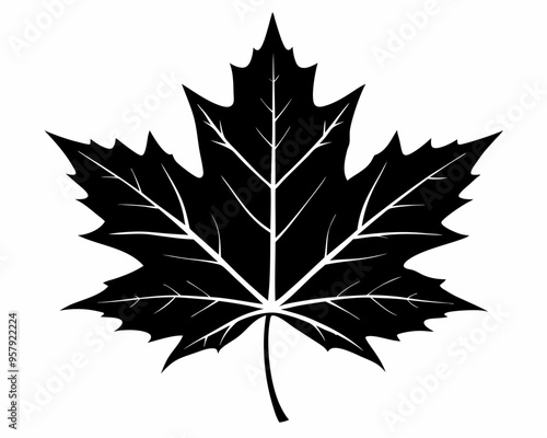  black silhouette maple leaf ico vector illustration,maple leaf vector illustration,