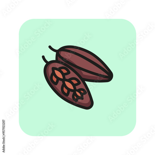 Cocoa nut line icon. Nut, shell, grain. Nature concept. Vector illustration can be used for topics like nature, heathy eating, chocolate, drinking