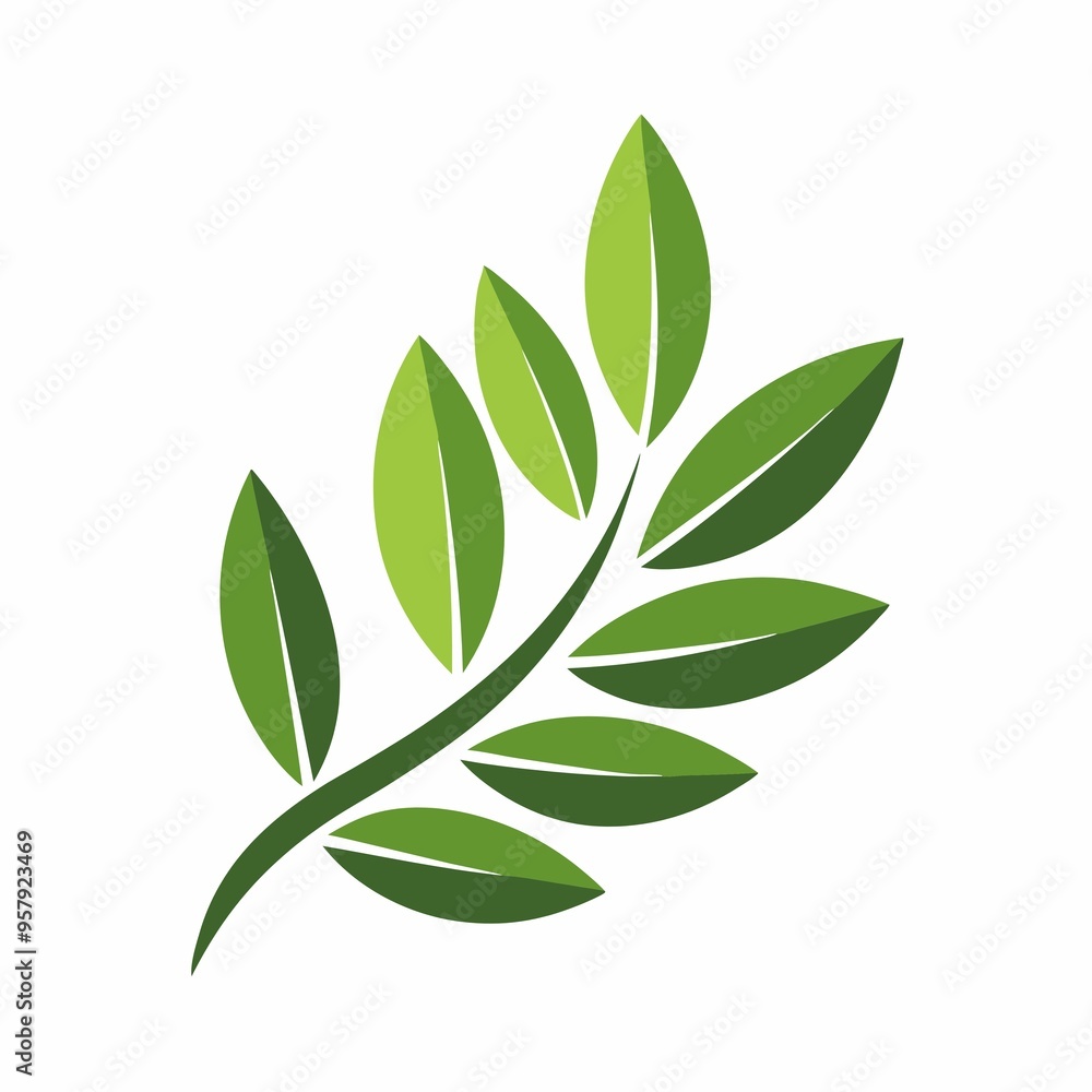 green leaves isolated on white green leaves isolated on white
