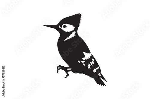 Wood pecker vector art and illustration photo