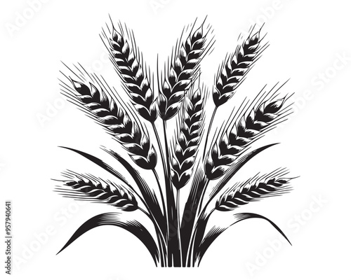 Wheat ears Vector isolated on a white background, A Wheat grain silhouette vector

