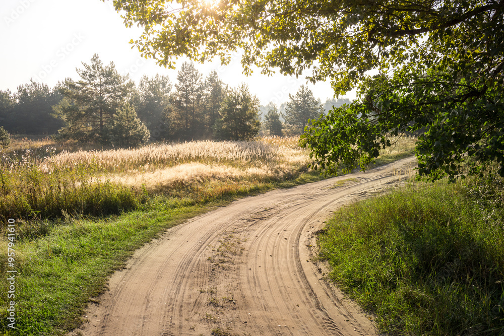 Fototapeta premium A dirt road with a tree in the background