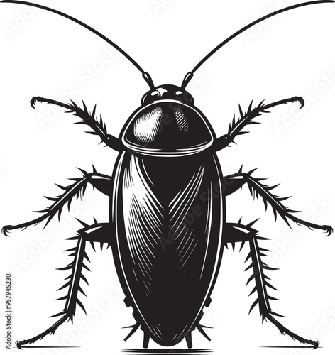 Cockroach insect animal Silhouette vector illustration isolated on a white background