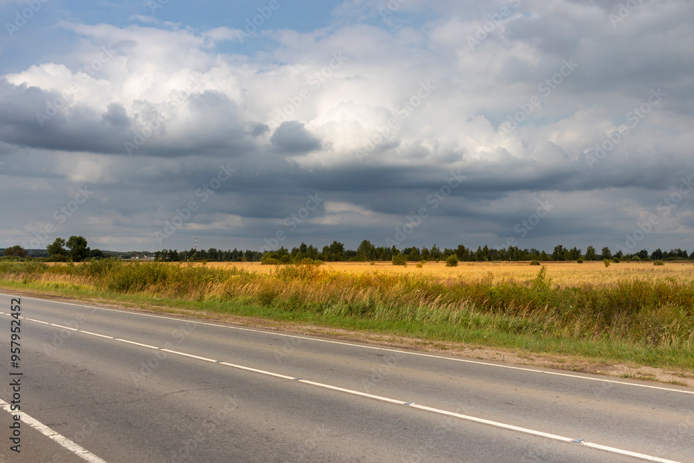 Fototapeta premium A road with a cloudy sky in the background