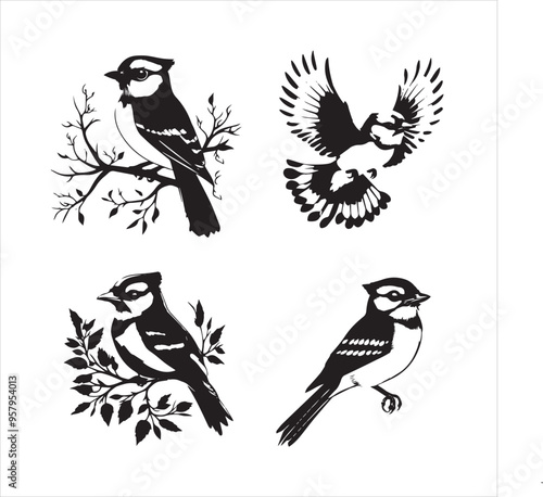 lack  Blue jay Silhouette Vector on Whit Background
